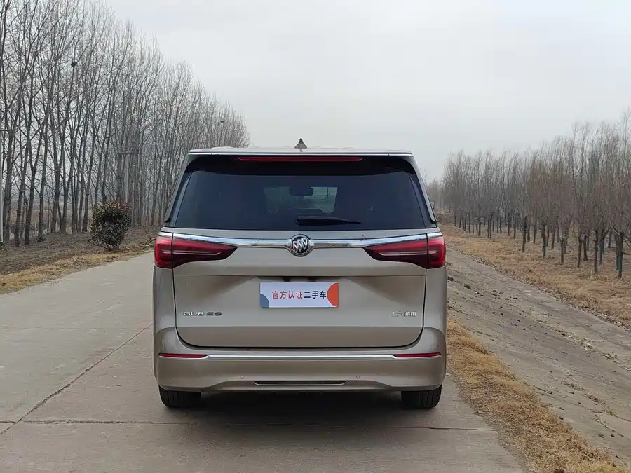 2023 Buick GL8 ES LZUN Zunxiang — 5