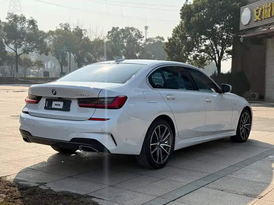 2020 BMW 3 Series 320Li M Sport — 6