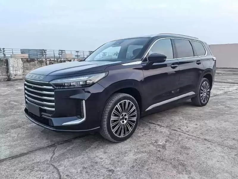 2025 Exeed C-DM