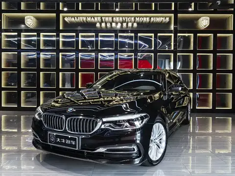 2019 BMW 5 Series 530Le Luxury