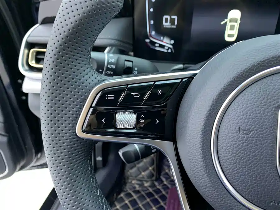 2024 Hongqi H5 1.5T DCT Lianzhi Qiyun — 19