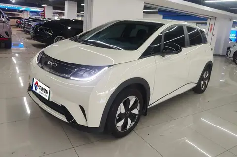 dolphin 2025 420km Freedom Edition