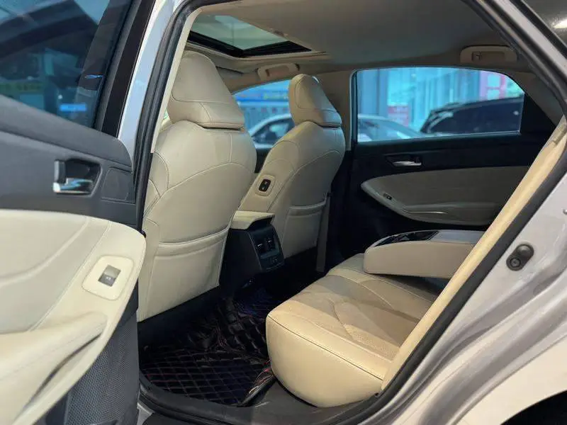 Asian Dragon 2019 2.0L Luxury Edition National VI — 16