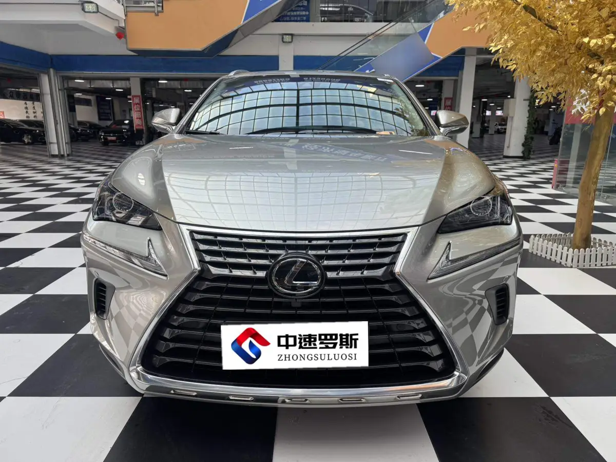 Lexus NX 2020 200 All-wheel Drive Frontier Edition National VI — 2