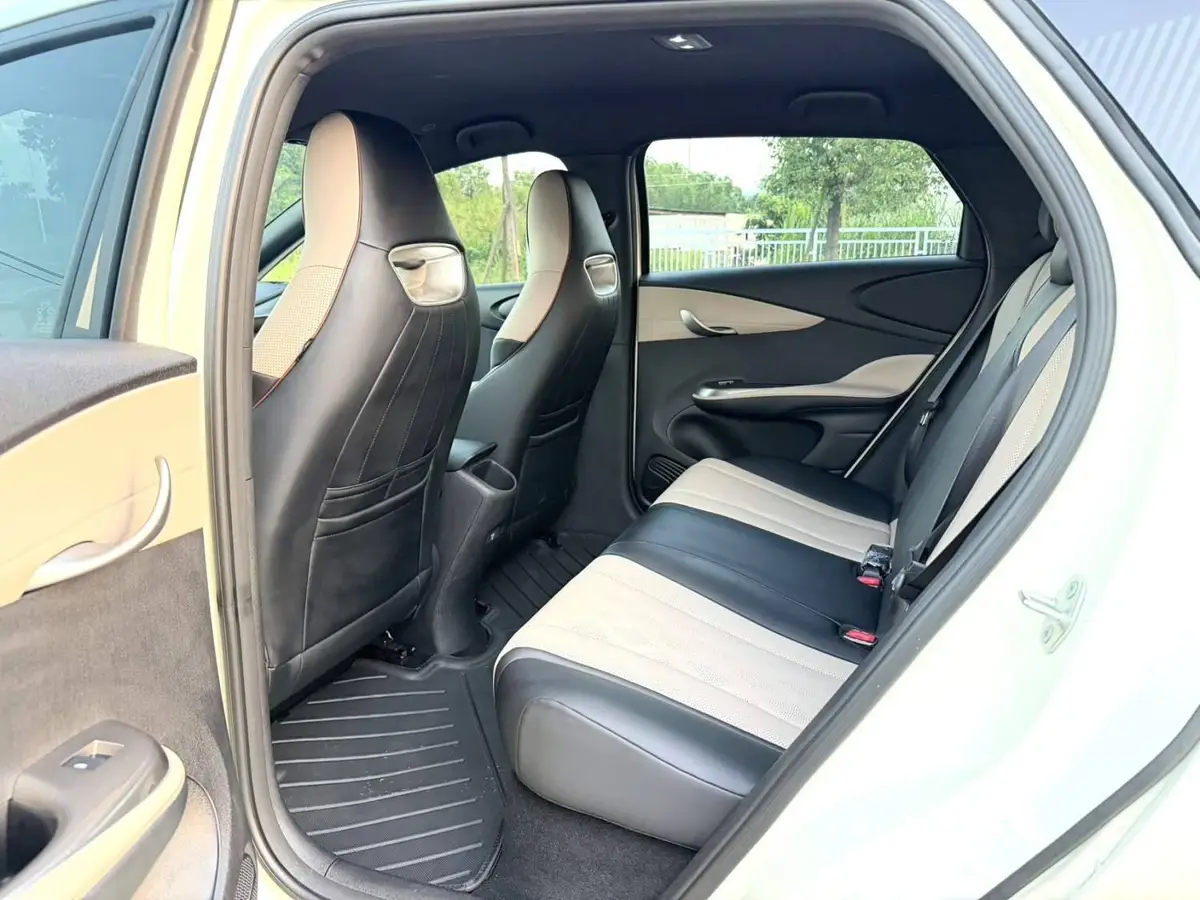 dolphin 2025 420km Freedom Edition — 7