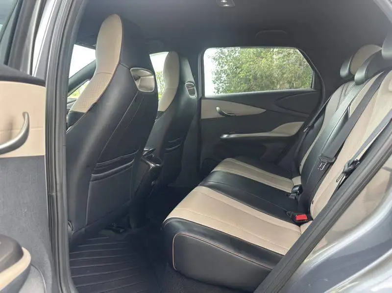 dolphin 2024 Honor Edition 420km Freedom Edition — 12