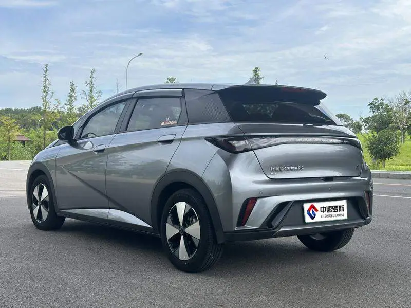 dolphin 2024 Honor Edition 420km Freedom Edition — 4