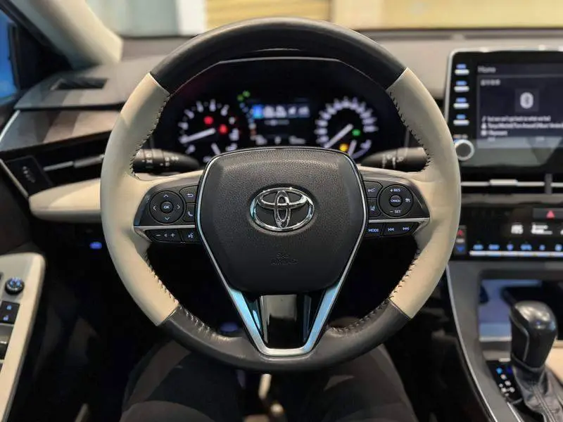 Asian Dragon 2019 2.0L Luxury Edition National VI — 10
