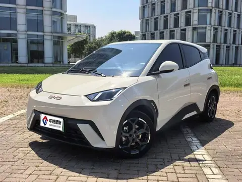 Seagull 2025 Smart Driving Edition 305km Free Edition