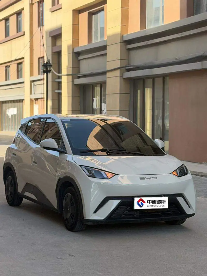 Seagull 2023 Vitality Edition — 3
