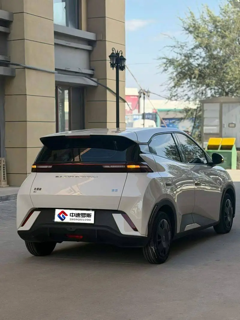 Seagull 2023 Vitality Edition — 6