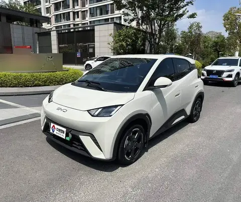Seagull 2024 Honor Edition 305km Freedom Edition