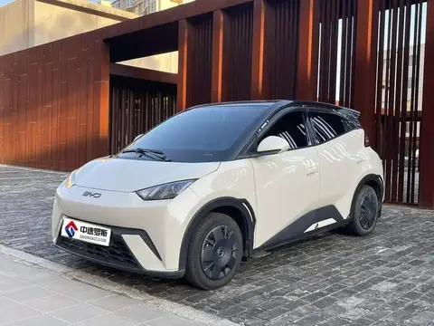 Seagull 2025 305km Vitality Edition