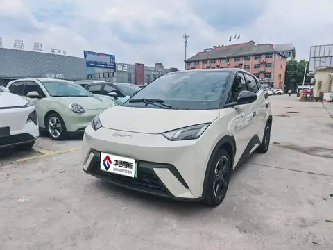 Seagull 2024 Honor Edition 305km Freedom Edition