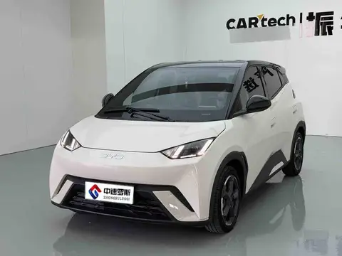 Seagull 2024 Glory Edition 305km Vitality Edition