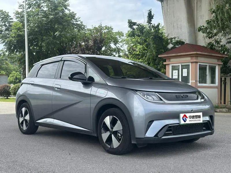 dolphin 2024 Honor Edition 420km Freedom Edition — 3