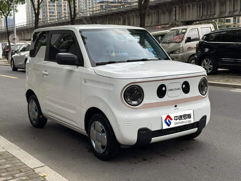 panda 2025 210km Panda Kart — 3