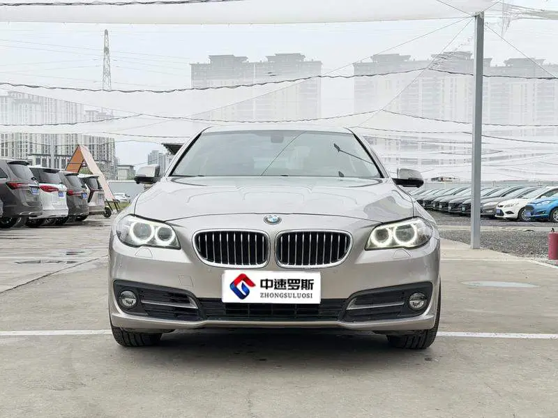 BMW 5 Series 2014 520Li Elegant Edition — 2