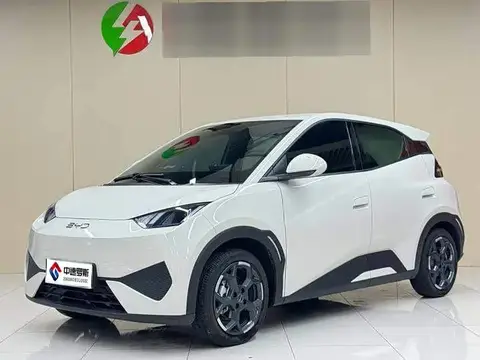 Seagull 2025 Smart Driving Edition 405km/h Comfort Edition