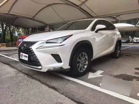 Lexus NX 2020 200 Front-Drive Fengyi Edition National VI