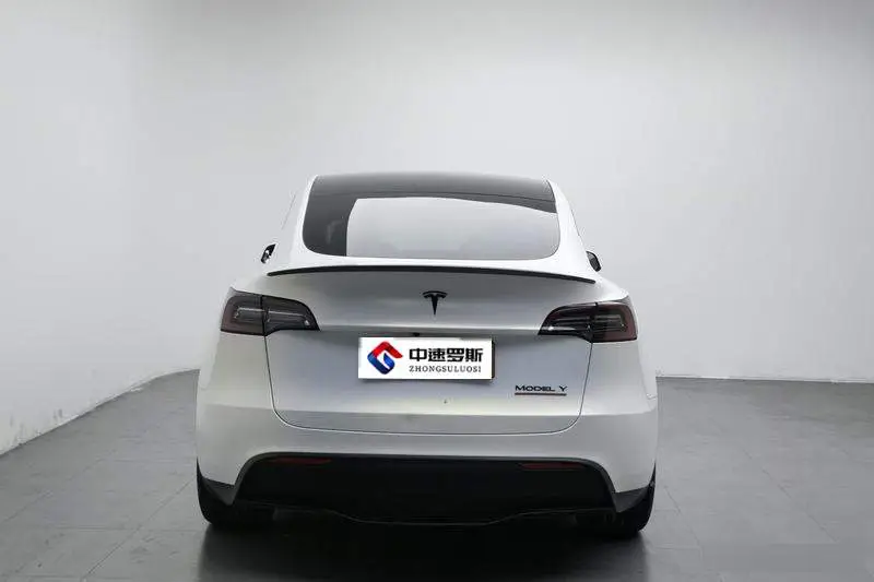 Model Y 2021 Performance All-Wheel Drive — 3