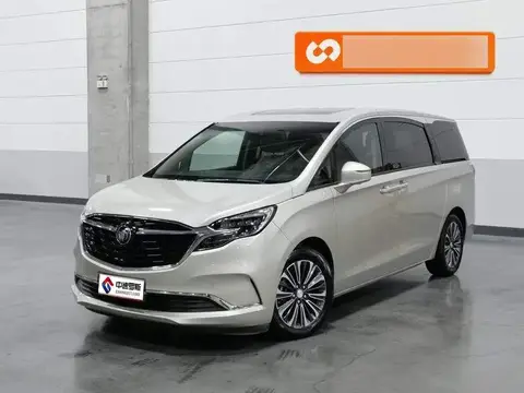 Buick GL8 2021 ES Lu Zun 653T Luxury Edition