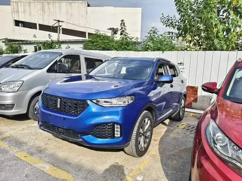 Wei brand VV6 2018 2.0T 2WD Super Luxury National V