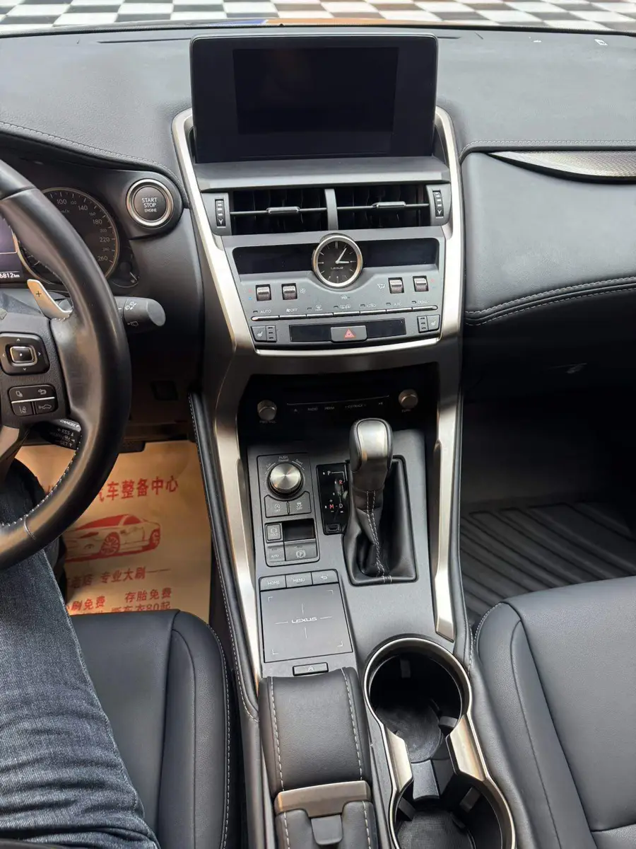 Lexus NX 2020 200 All-wheel Drive Frontier Edition National VI — 10