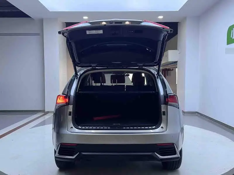 Lexus NX 2020 200 All-wheel Drive Front Edition National V — 20