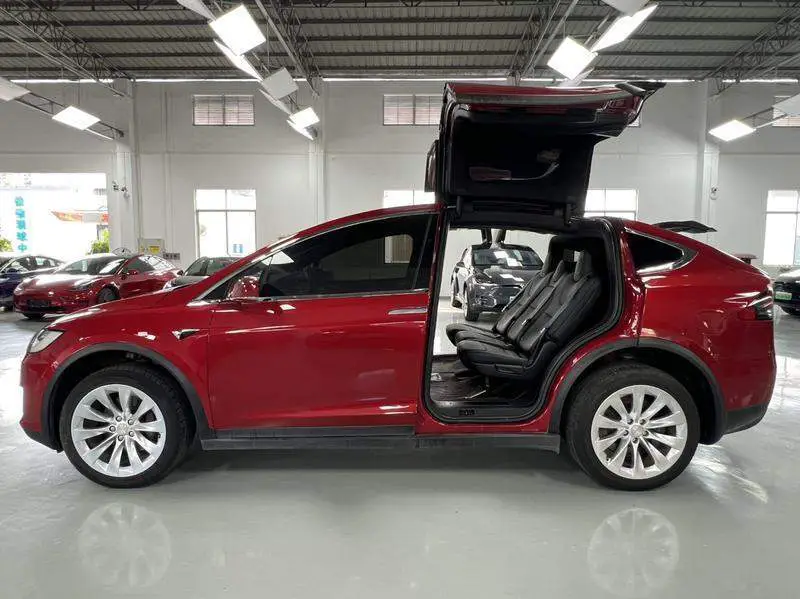 Model X 2019 Standard Range Edition — 4