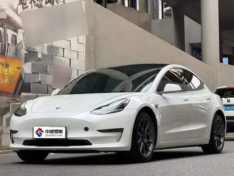 Model 3 2020 facelifted long-range rear-wheel drive version