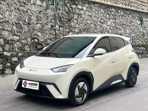 Seagull 2024 Glory Edition 305km Vitality Edition