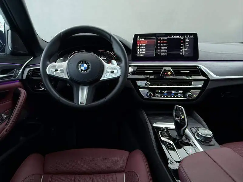 BMW 5 Series 2023 530Li Premium M Sport Package — 13