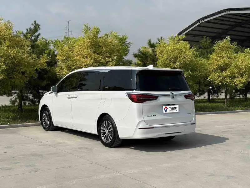 Buick GL8 2021 ES Lu Zun 653T Premium Edition — 4