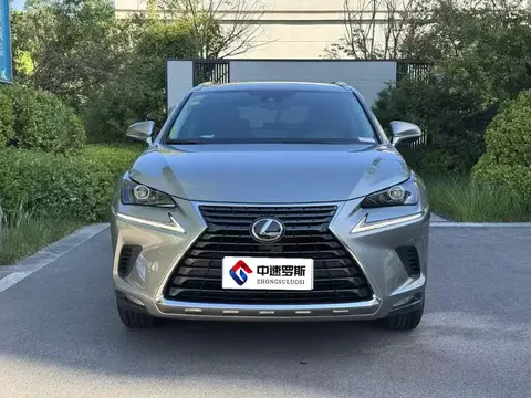 Lexus NX 2020 200 All-wheel Drive Frontier Edition National VI