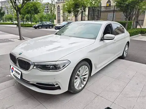 BMW 5 Series 2020 530Li Premium Luxury Package