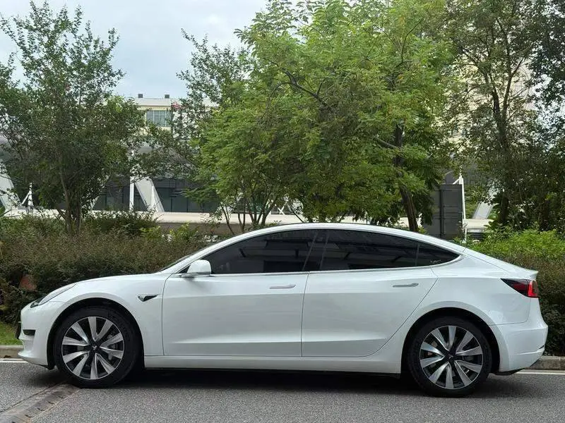 Model 3 2020 Standard Range RWD Upgraded Version — 4