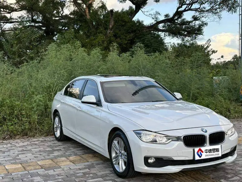 BMW 3 Series 2016 320Li Progressive Edition — 3