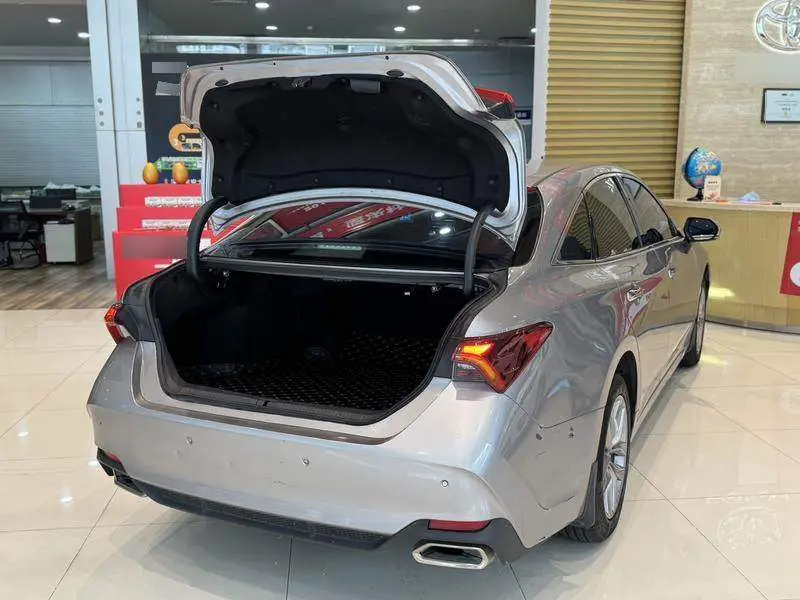 Asian Dragon 2019 2.0L Luxury Edition National VI — 7