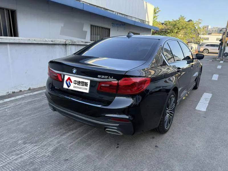 BMW 5 Series 2019 530Li xDrive M Sport Package — 4