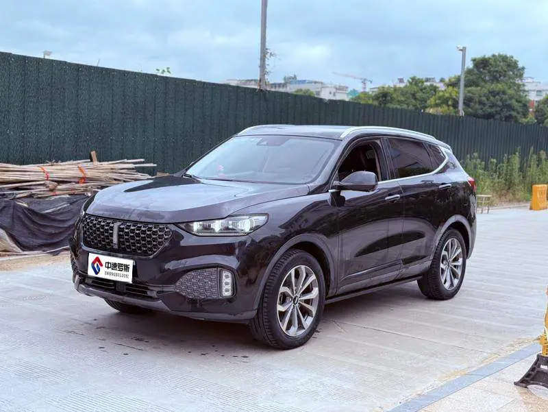 Wei brand VV6 2020 2.0T 2WD Intelligent Protection+