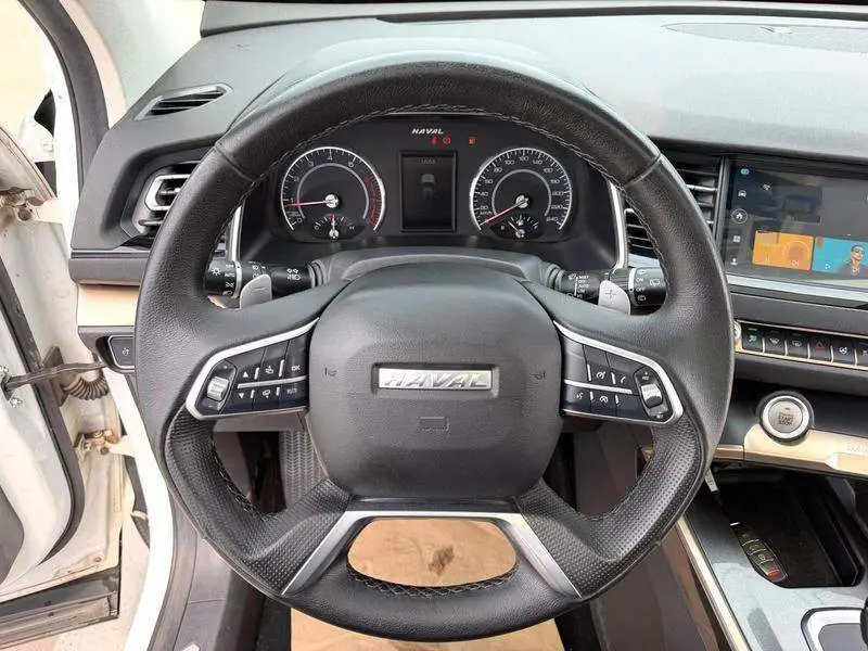 Haval H6 2020 1.5GDIT Automatic Platinum Champion Edition — 14