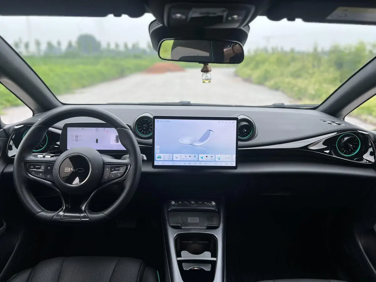 dolphin 2025 Smart Driving Edition 410km Fashion Edition — 9