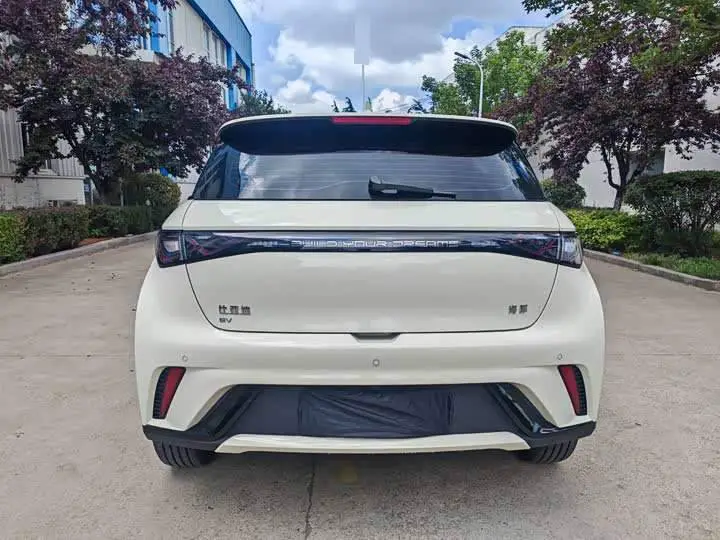 dolphin 2025 420km Freedom Edition — 5