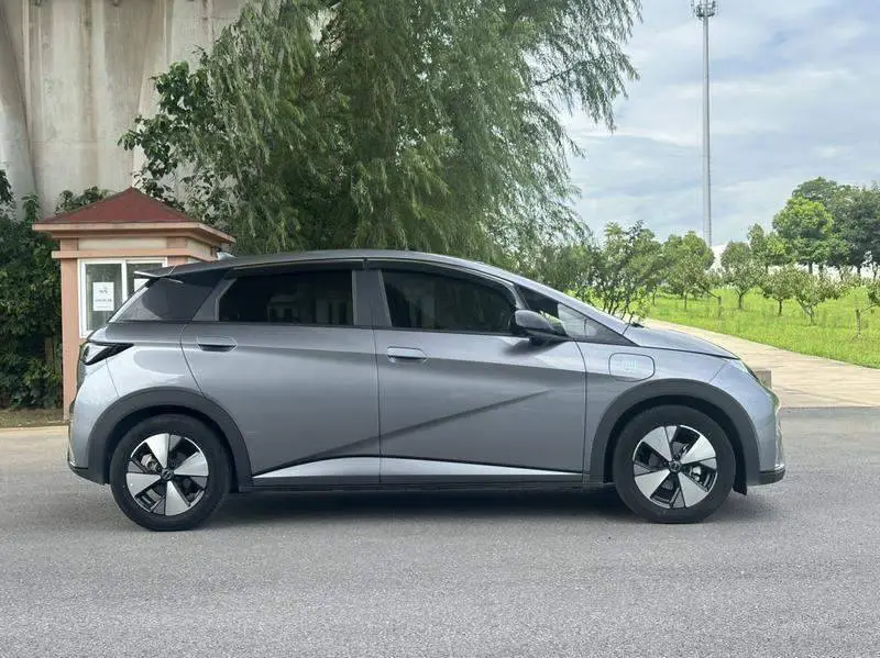 dolphin 2024 Honor Edition 420km Freedom Edition — 7