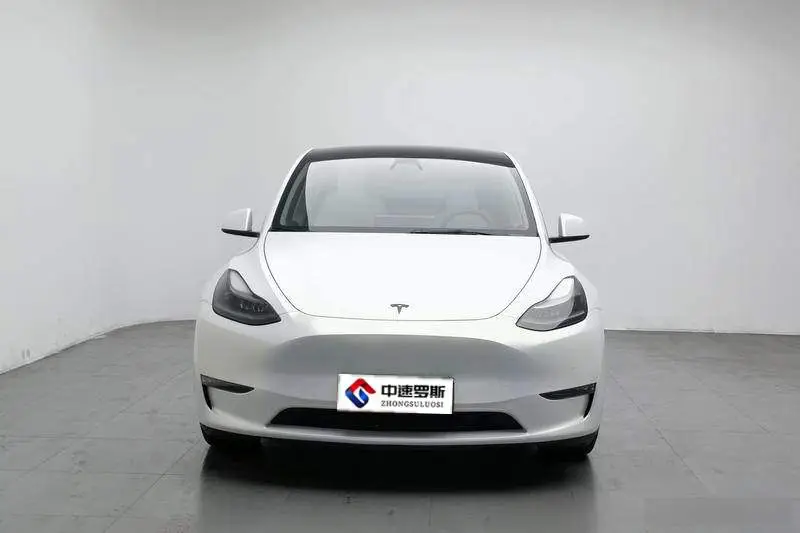 Model Y 2021 Performance All-Wheel Drive — 2