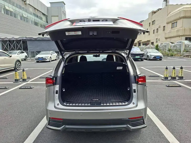 Lexus NX 2020 200 Front-Drive Fengyi Edition National VI — 20