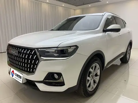 Haval H6 2023 National Trend Edition 1.5T Automatic Champion Edition