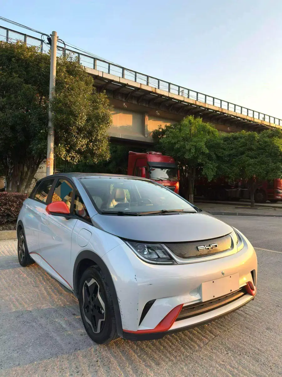 dolphin 2021 405km Freedom Edition — 3
