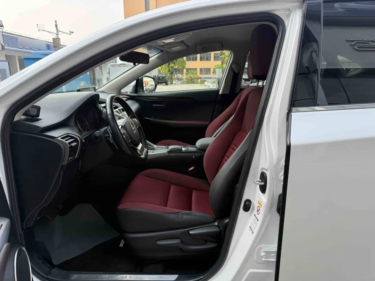 Lexus NX 2017 200 Front-Drive Edition — 10